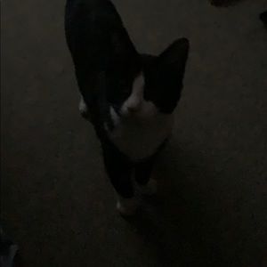 Meet your Posher, Courtney